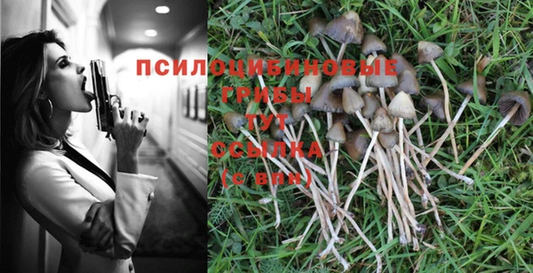 MESCALINE Абаза
