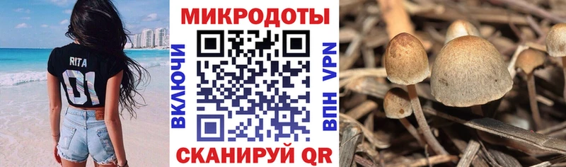 даркнет сайт  Ишимбай  ОМГ ОМГ ONION  Галлюциногенные грибы GOLDEN TEACHER 