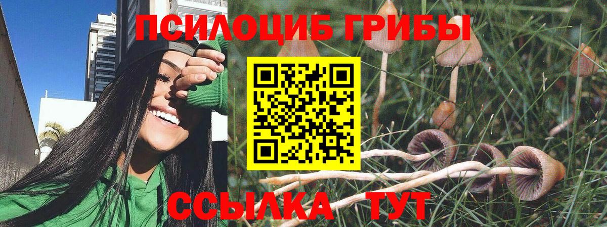 Ишимбай  Галлюциногенные грибы прущие грибы  Вход с VPN  хочу   Псилоцибиновые грибы мухоморы 