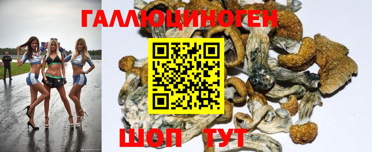 Псилоцибиновые грибы мухоморы Ишимбай